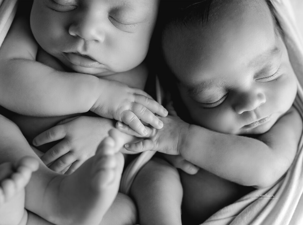 twins photography newborn