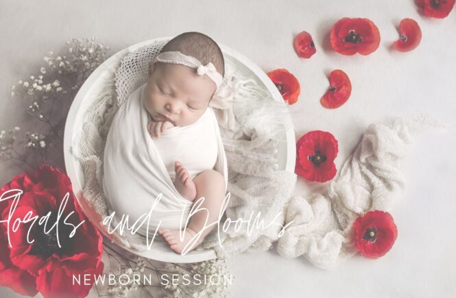 Boho flower newborn photos