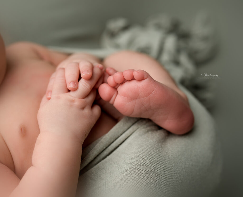 floral newborn