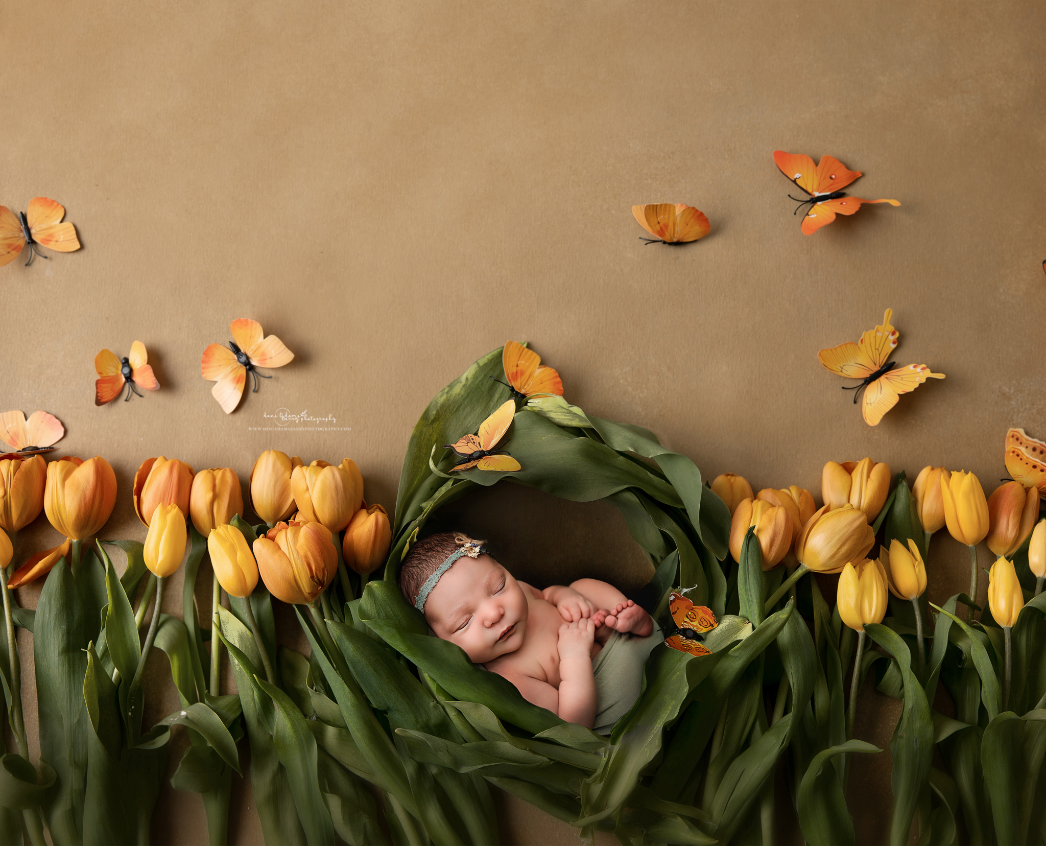 floral newborn photography tulips