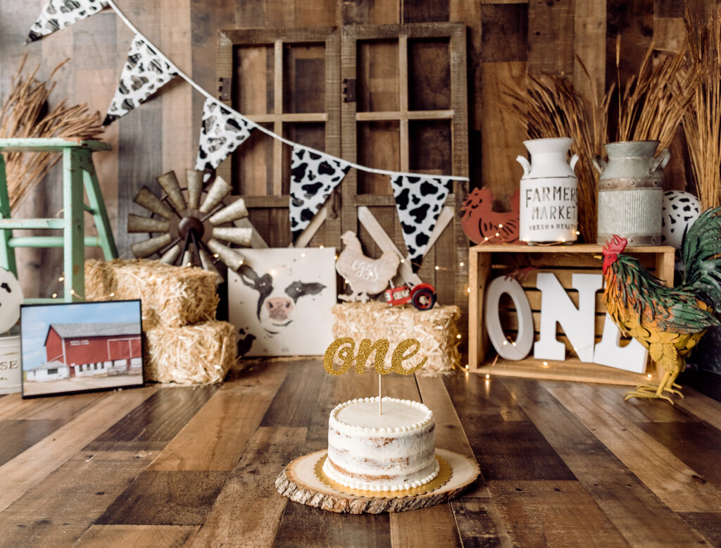 one year cake smash farm theme