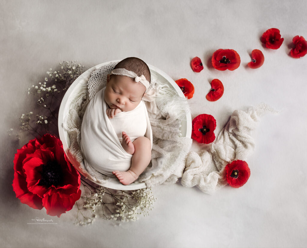 poppy flower newborn photography