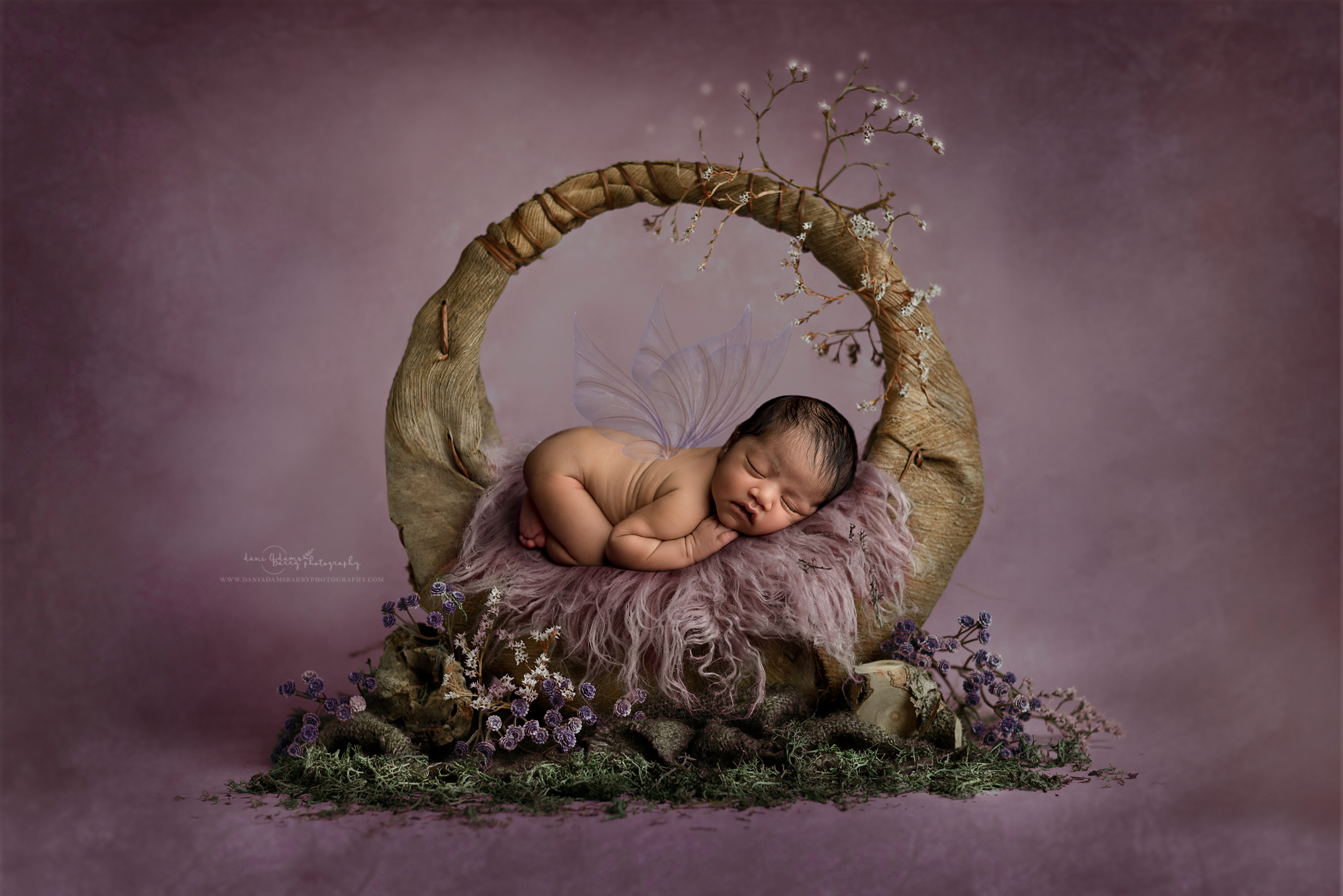 fairy newborn photography