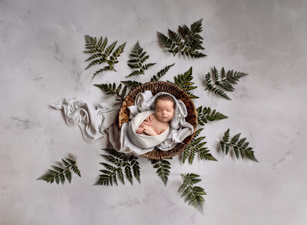 grey moon and star newborn boy photography5