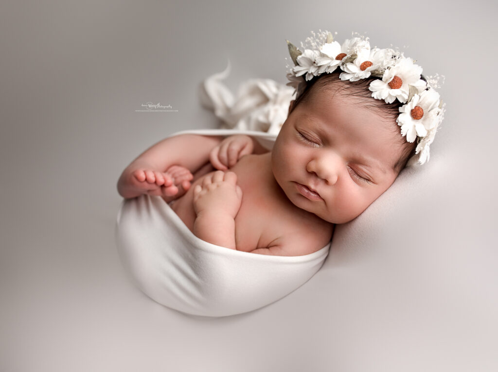 daisy newborn photos