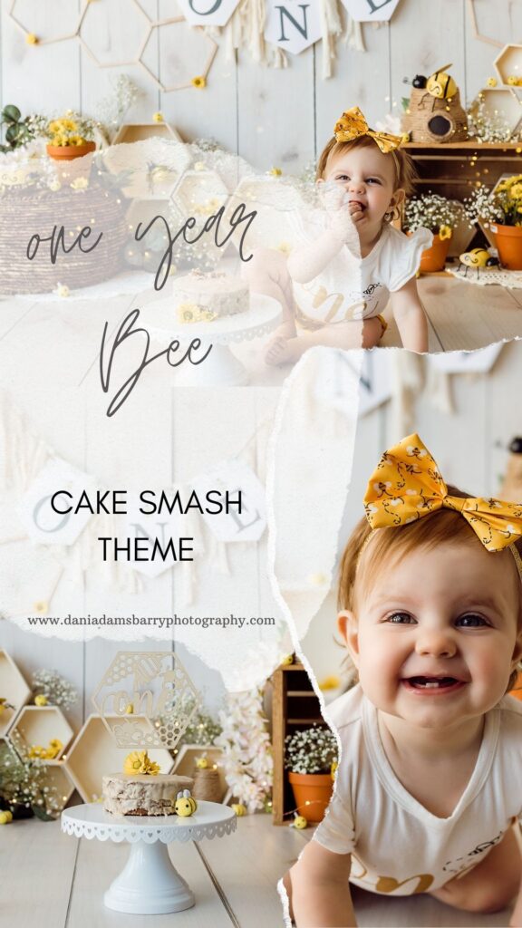 Bee Cake Smash One Year Photography , Honey Bee Cake Smash Photos