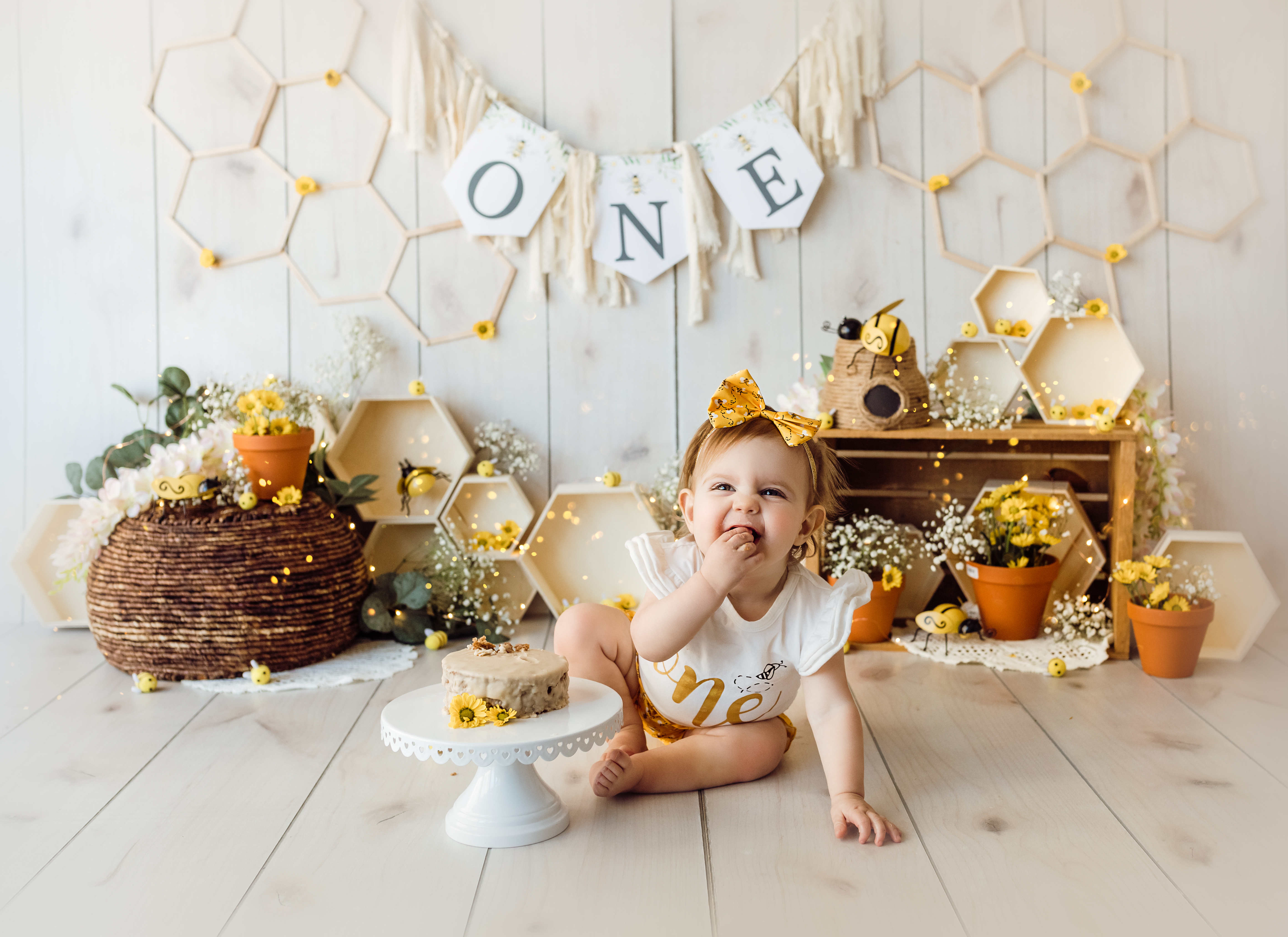Bee and honey one year old cake smash