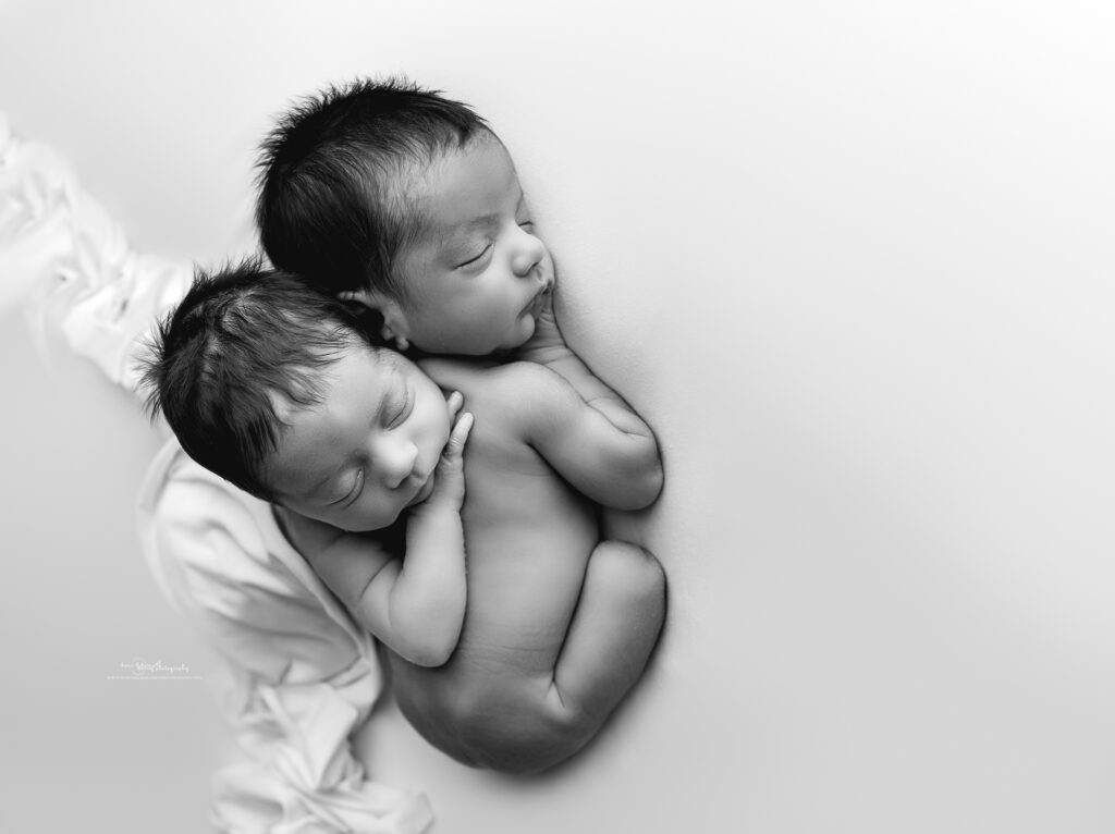 twin newborn photo dallas texas