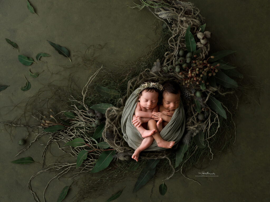 woodland newborn twins baby pictures