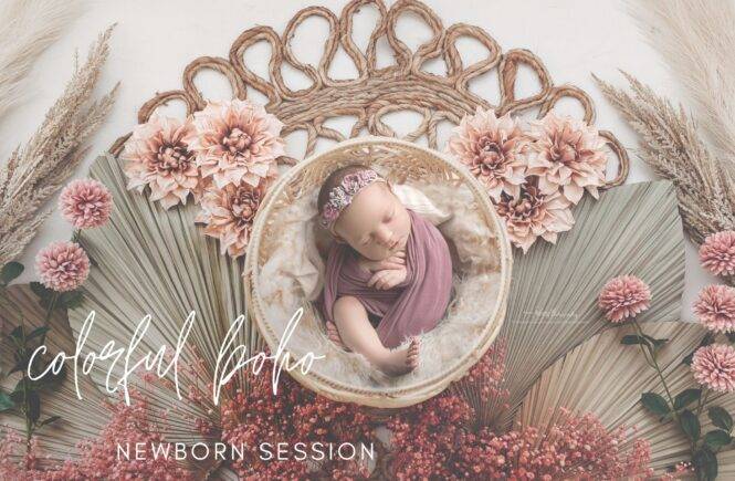 boho newborn girl photography