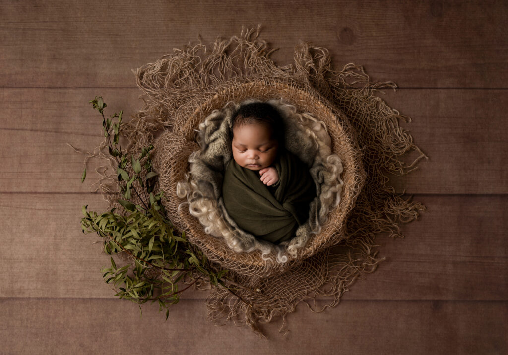 woodland boy dallas newborn photographer