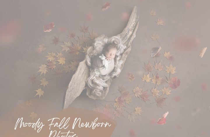 Fall Newborn Photos