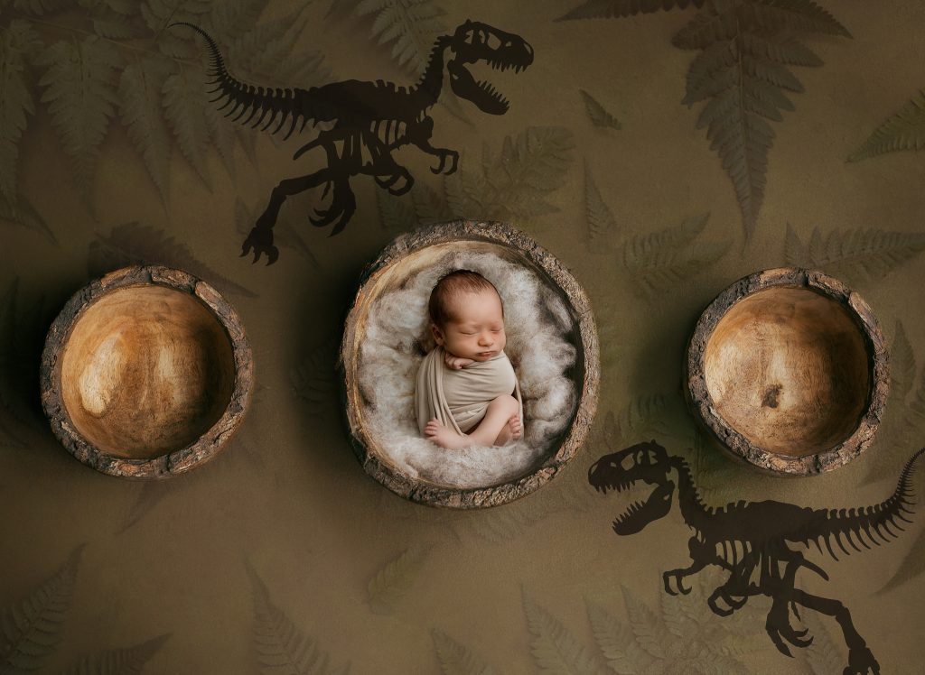 dinosaur newborn photo theme1