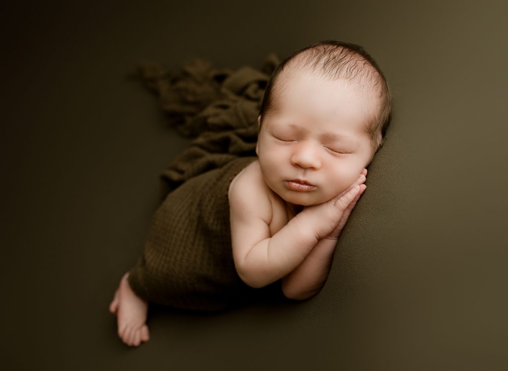 dinosaur newborn photo theme3
