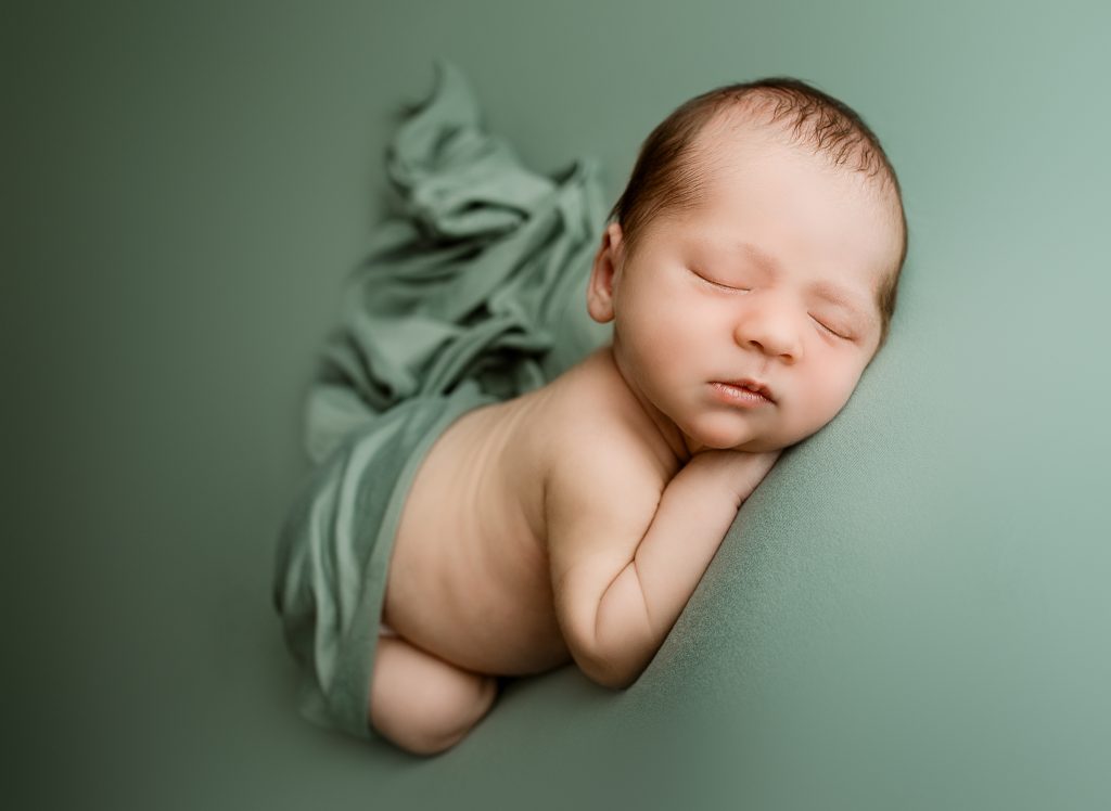 dinosaur newborn photo theme5