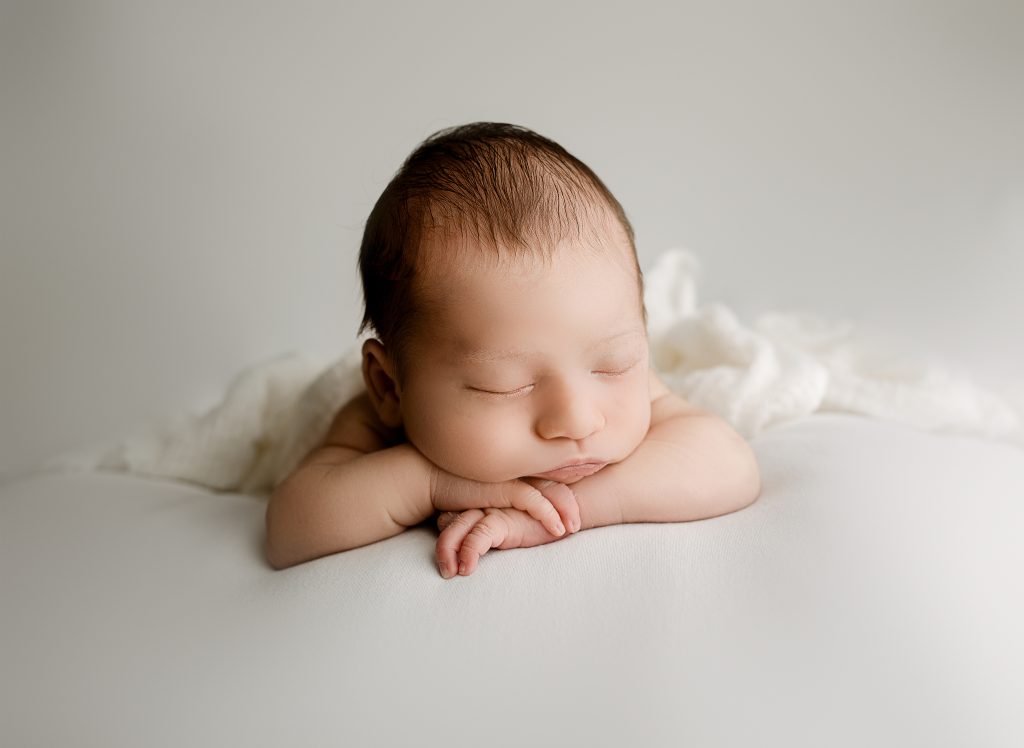 dinosaur newborn photo theme6