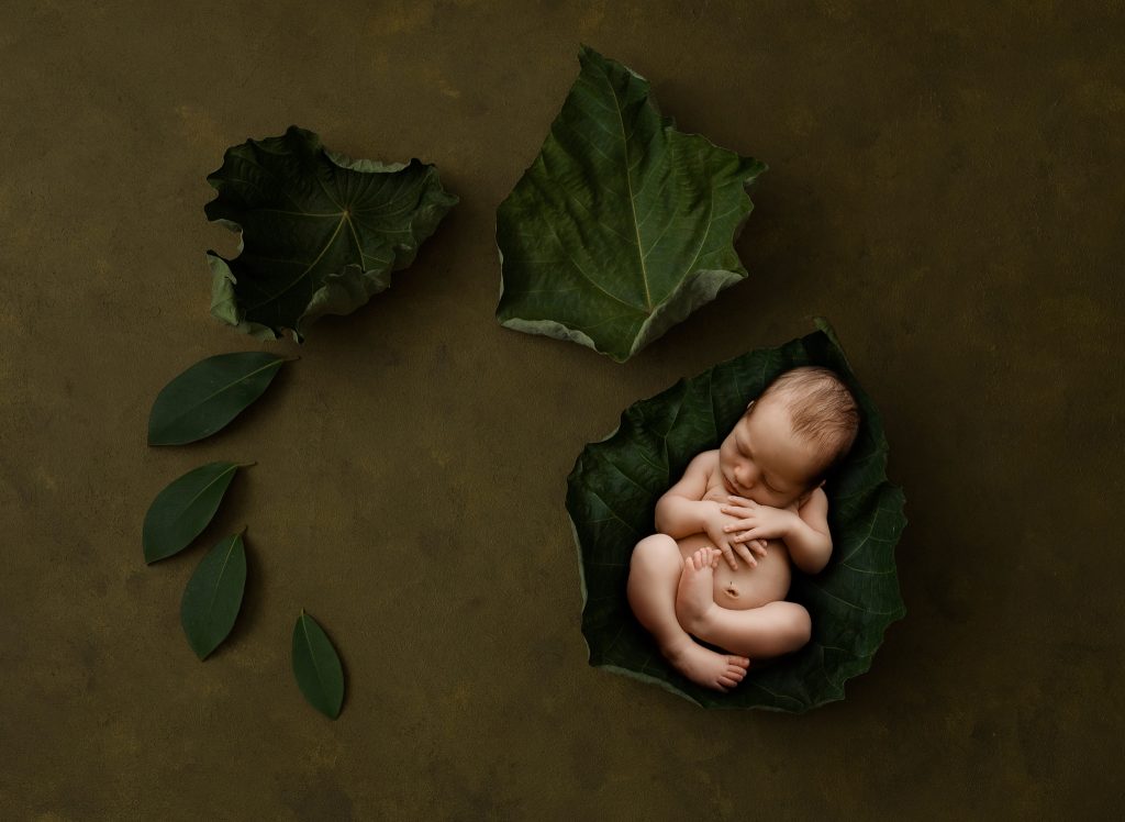 dinosaur newborn photo theme7