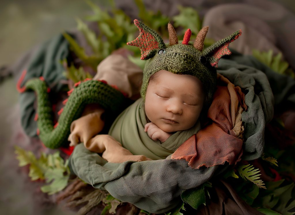 dinosaur newborn photo theme8