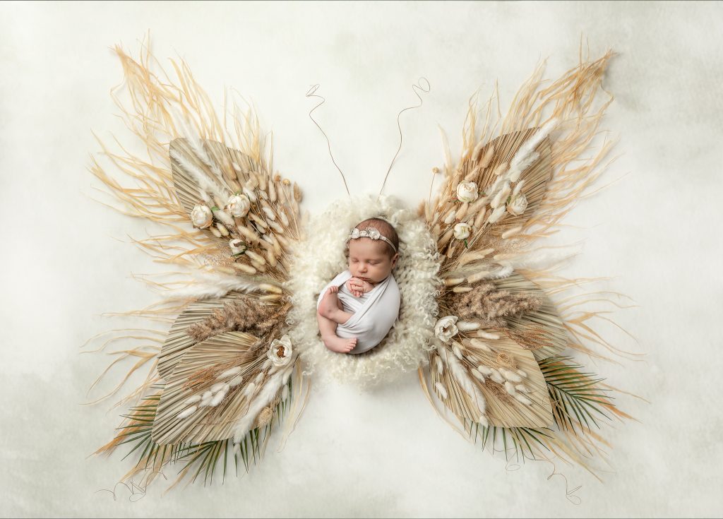 newborn butterfly photography