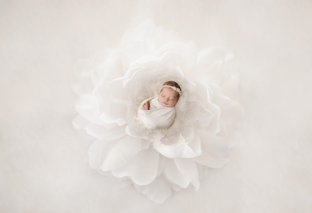 luxury newborn photography dallas texas1