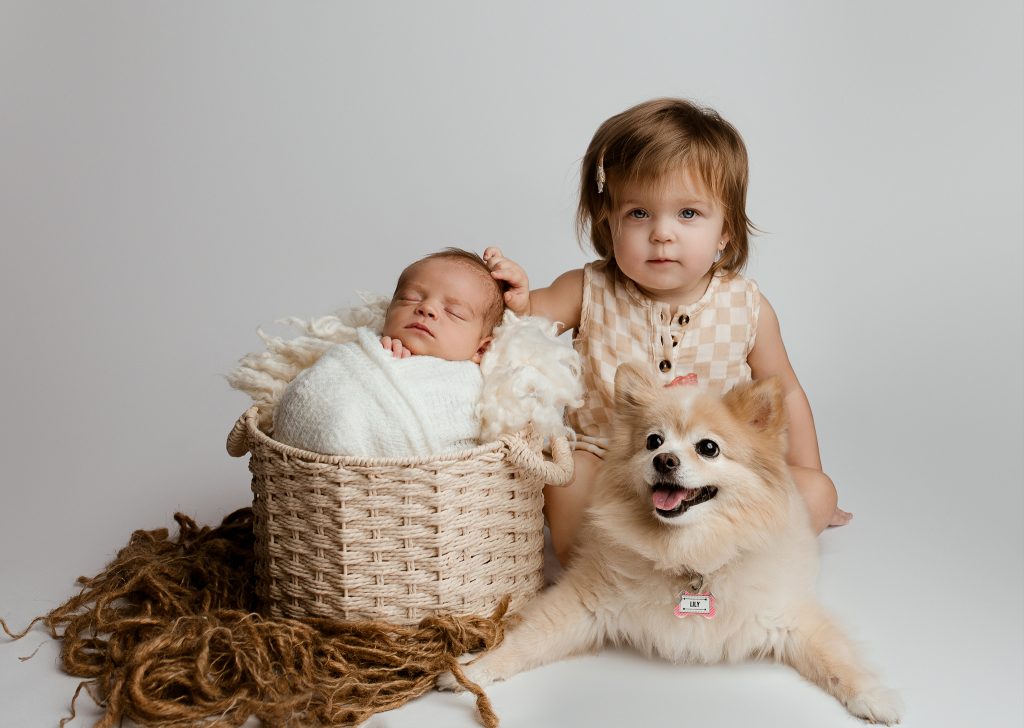 newborn photographer dallas texas3