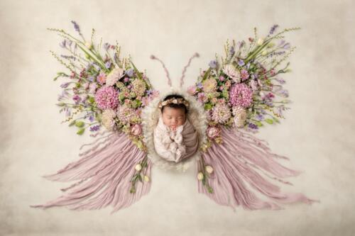 butterfly newborn photos 