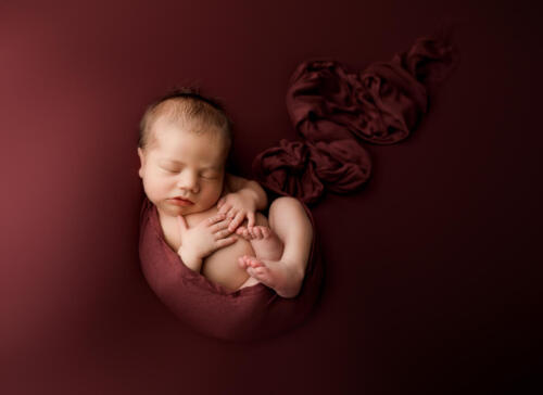 best dallas newborn photographer3